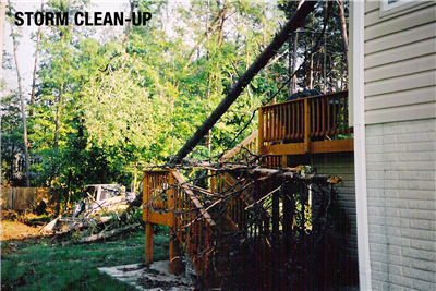 storm cleanup md