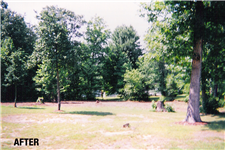 brush removal Middle TN