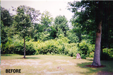 brush removal Middle TN