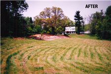 remove tree Middle TN