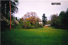 remove tree Middle TN