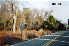roadside land clearing tn