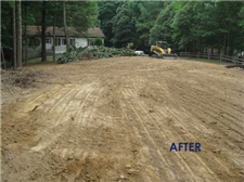 stump removal middle tn after picture